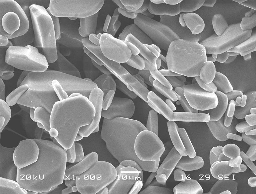 东富龙科技集团股份有限公司
