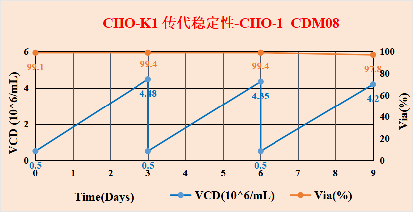东富龙科技集团股份有限公司