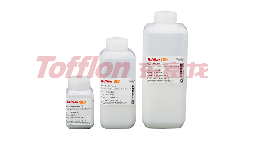 东富龙科技集团股份有限公司