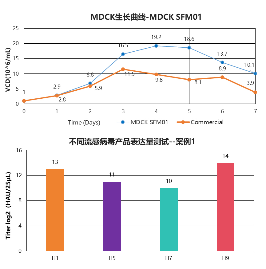东富龙科技集团股份有限公司 东富龙科技集团股份有限公司