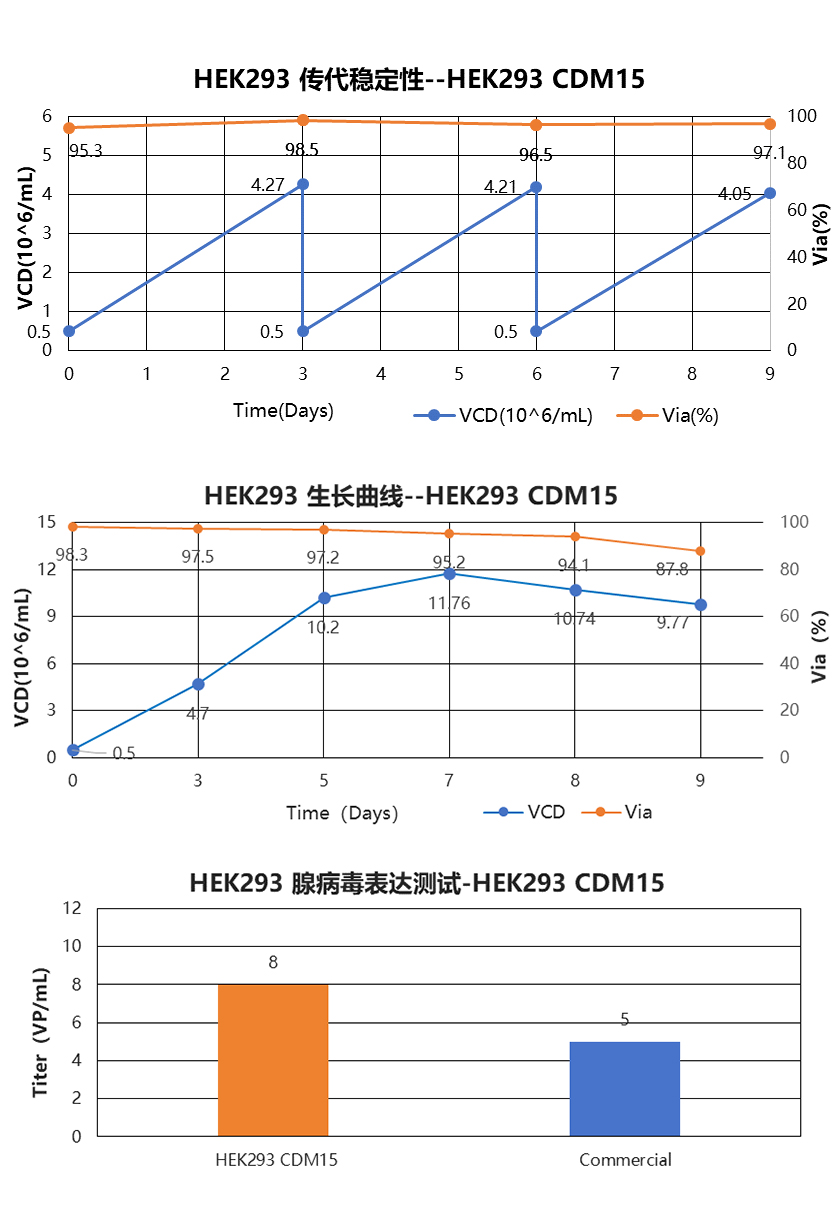 东富龙科技集团股份有限公司