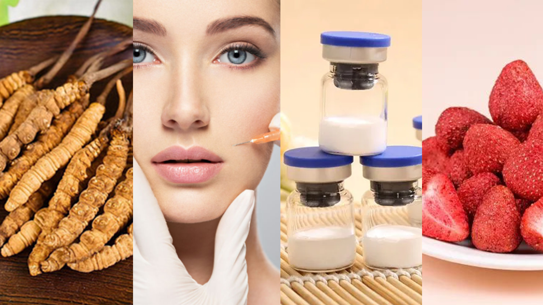 东富龙科技集团股份有限公司