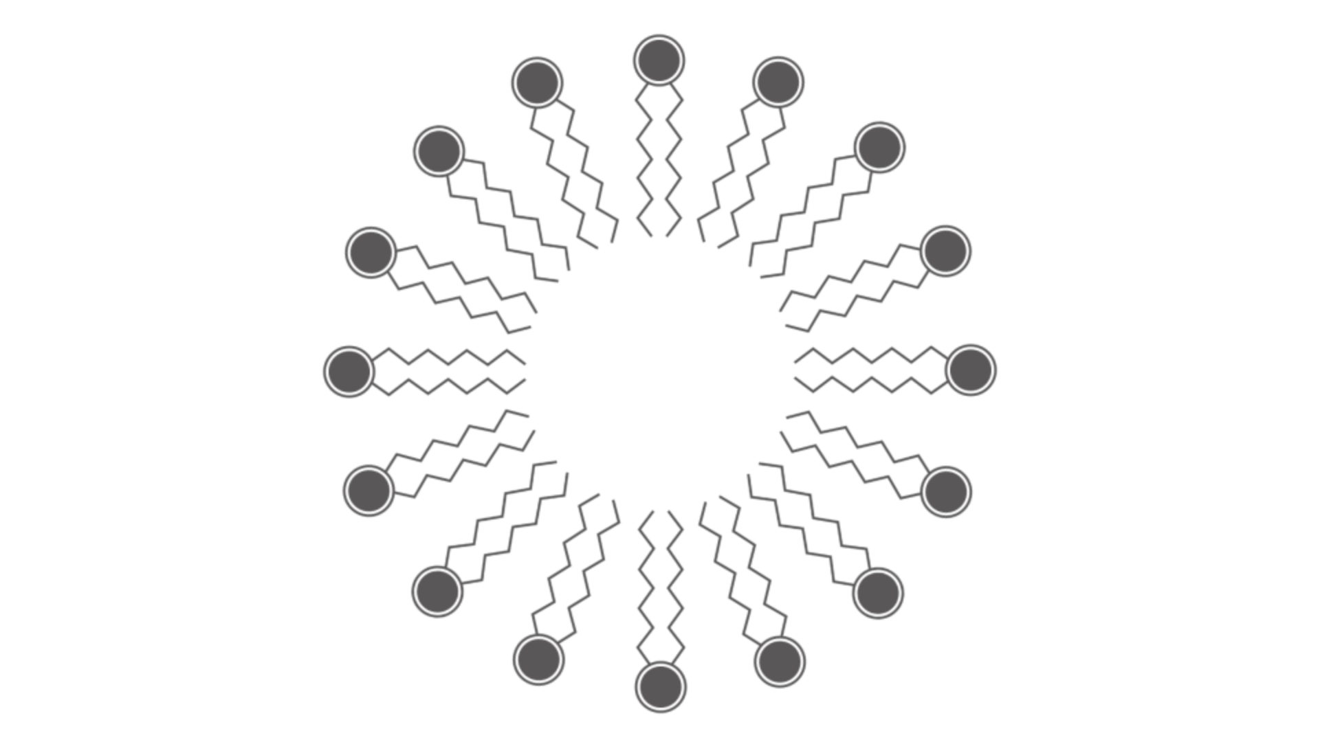 Tofflon Science and Technology Group Co., Ltd.